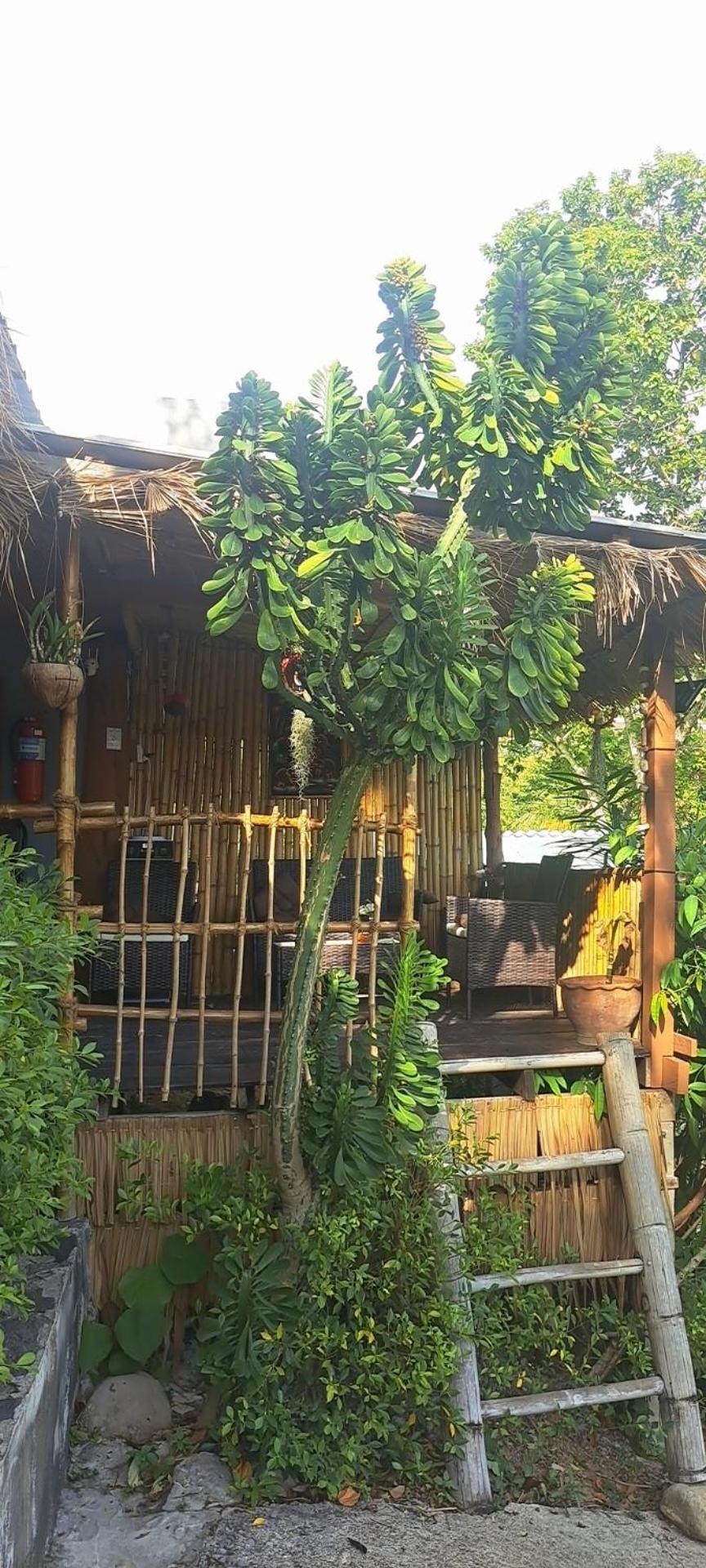 Siam Flora Resort Koh Lanta Room photo